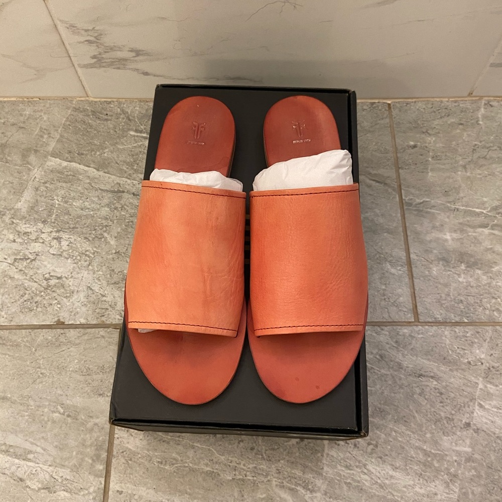 Coral Robin slides
